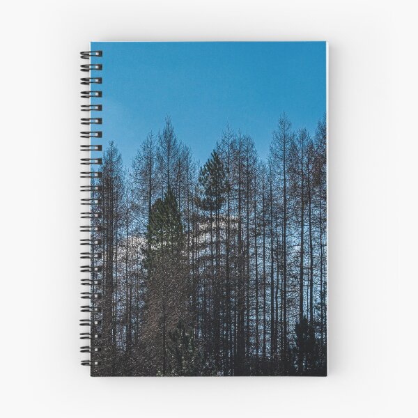 Item preview, The Tree Line designed and sold by Steve Purnell Photography.
