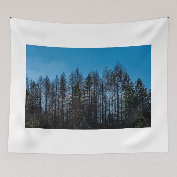 Item preview, The Tree Line designed and sold by Steve Purnell Photography.