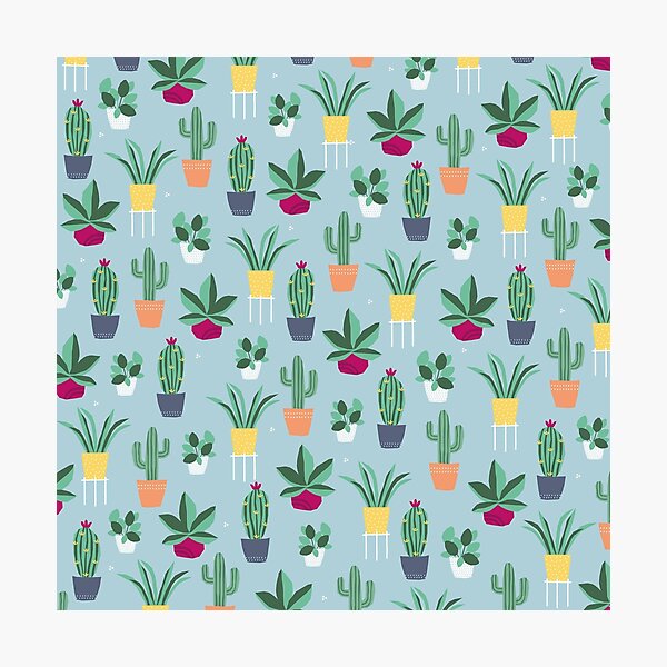 Plant power Photographic Print
