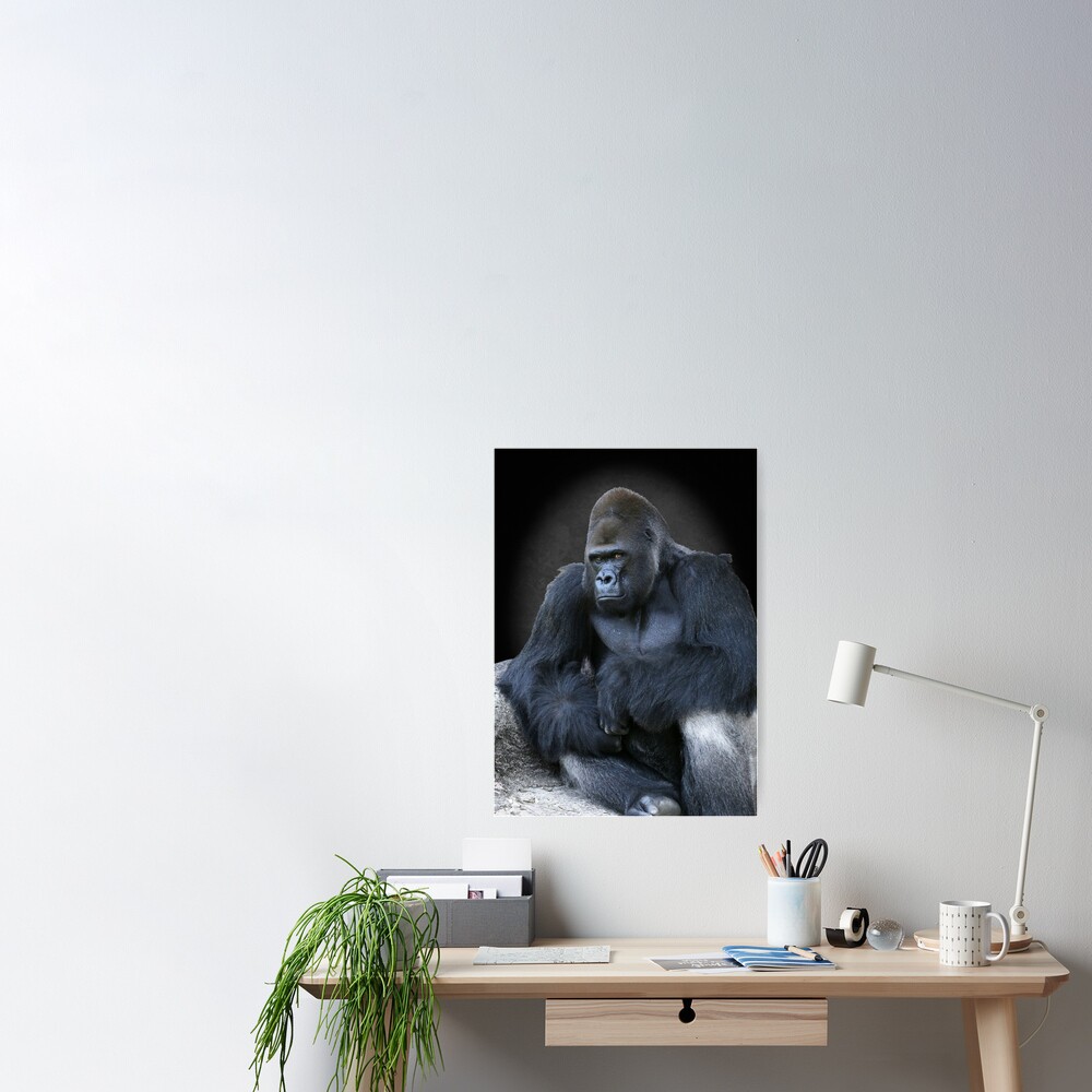 Portrait of a Male Gorilla Throw Pillow for Sale by DebiDalio