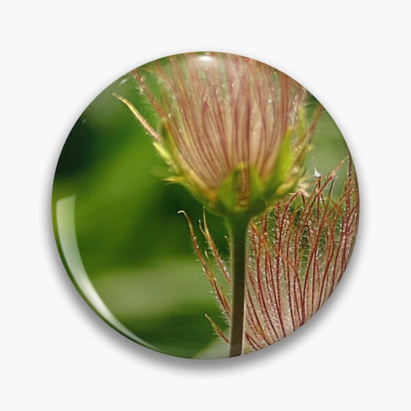 Artikelvorschau, Alpine Anemonen entworfen und verkauft von lysiely.