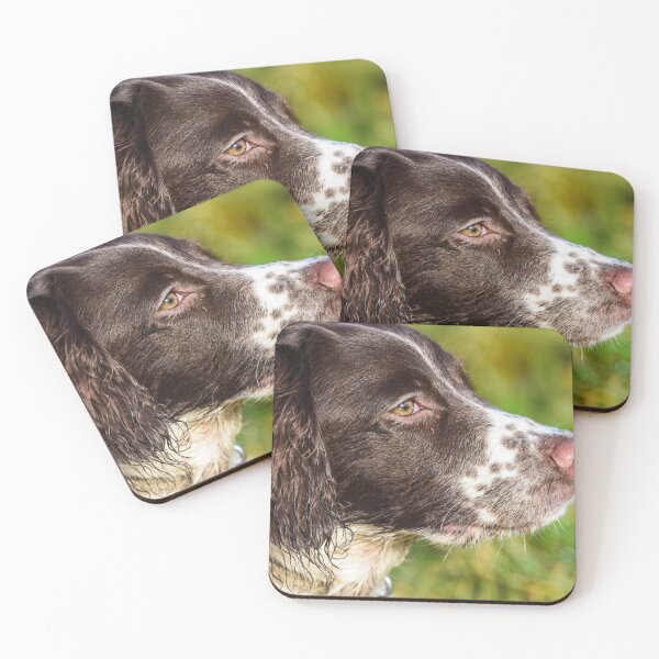 Item preview, English Springer designed and sold by RobWalkley.