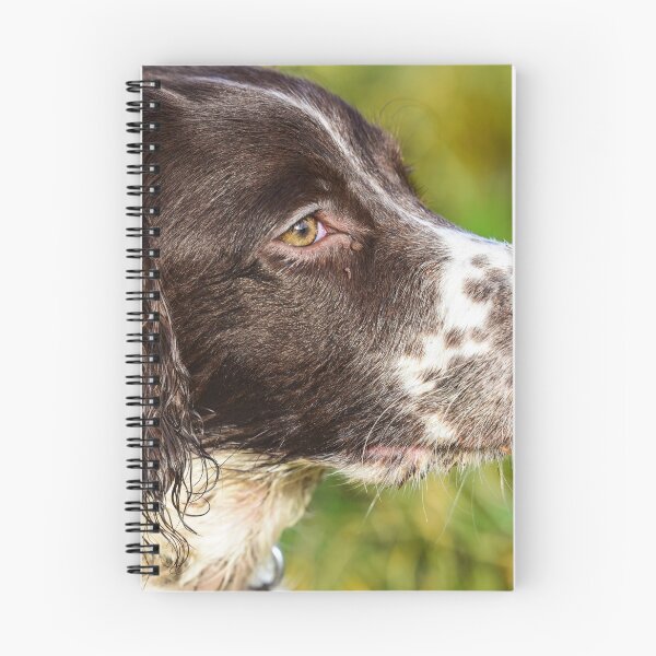 Item preview, English Springer designed and sold by RobWalkley.
