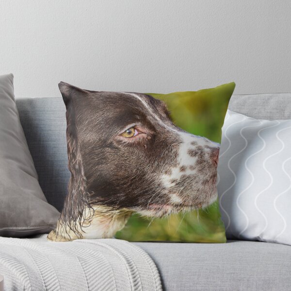 Item preview, English Springer designed and sold by RobWalkley.