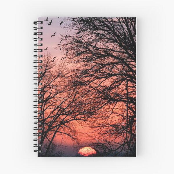 Item preview, Beautiful Tropical sunset Trees & Birds in Evening designed and sold by Haidary.