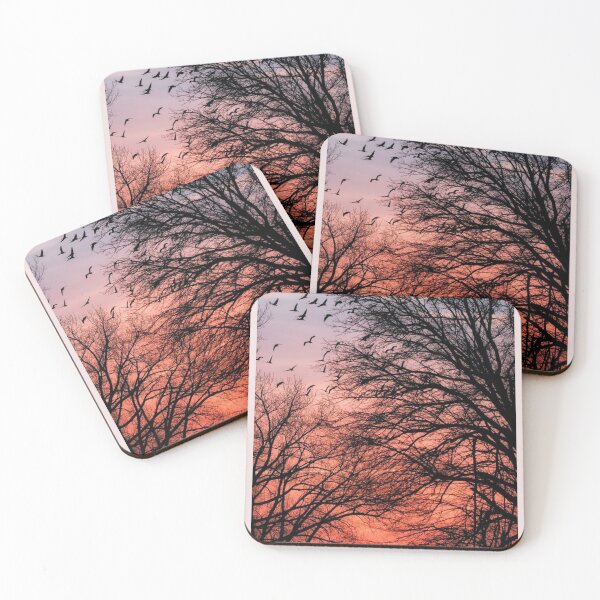 Item preview, Beautiful Tropical sunset Trees & Birds in Evening designed and sold by Haidary.
