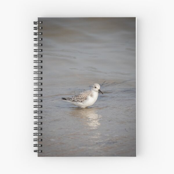 Item preview, Sanderling portrait designed and sold by Wild-Wight.