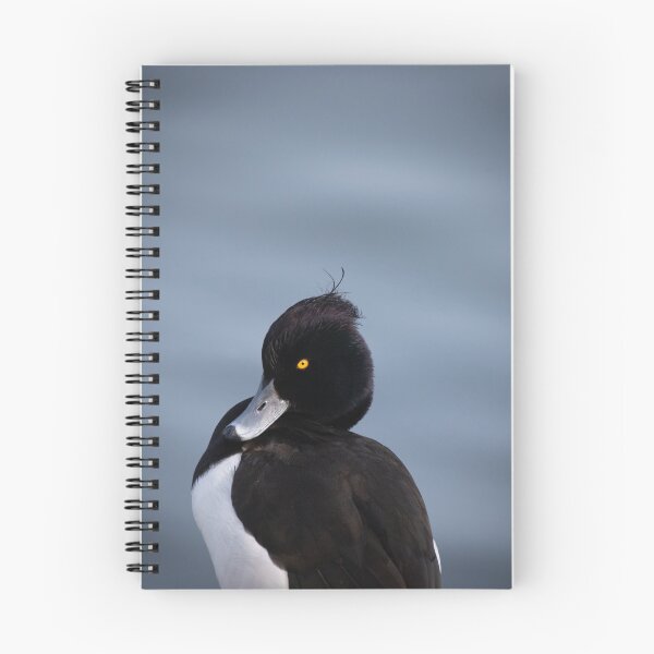 Item preview, Tufted duck portrait designed and sold by Wild-Wight.