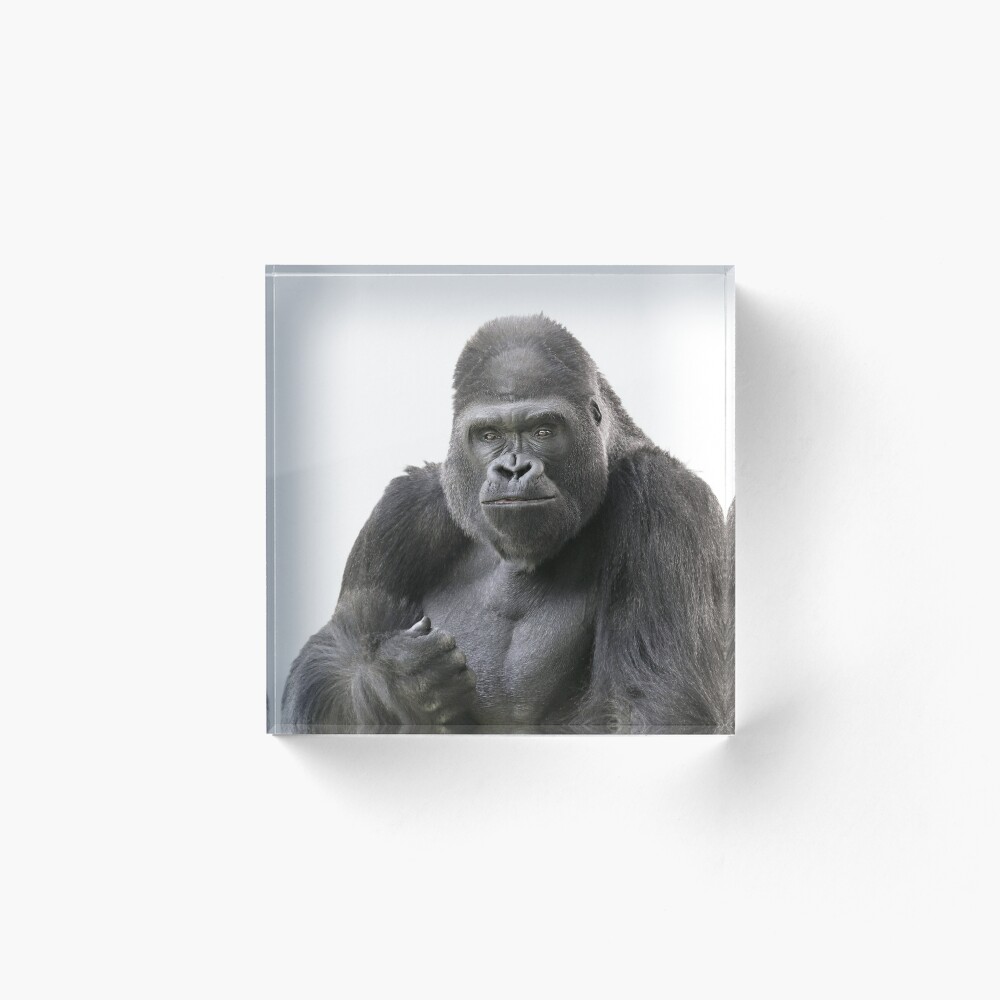 Portrait of a Male Gorilla Throw Pillow for Sale by DebiDalio