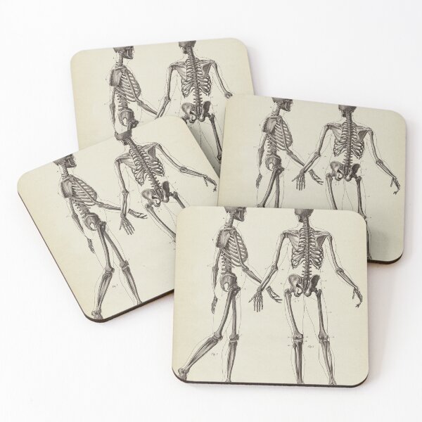 Item preview, Human Skeleton. Anatomy drawing designed and sold by LeAllureVintage.