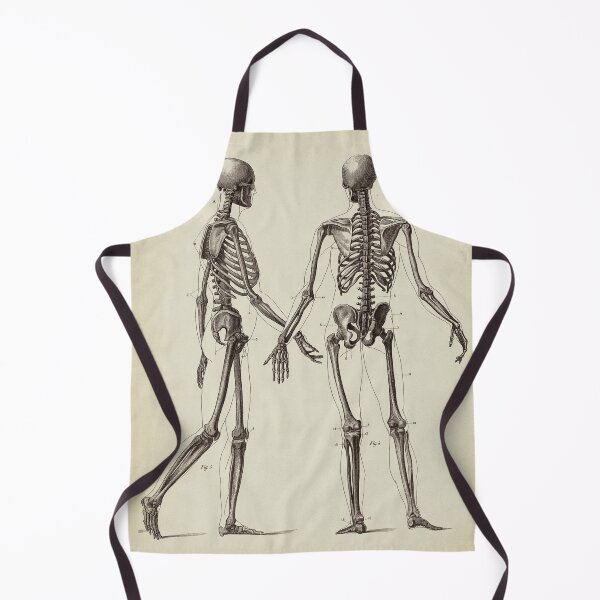 Item preview, Human Skeleton. Anatomy drawing designed and sold by LeAllureVintage.
