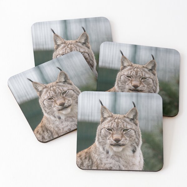 Artikelvorschau, Eurasischer Luchs beim Wild Heart Trust (Isle of Wight Zoo) entworfen und verkauft von Wild-Wight.