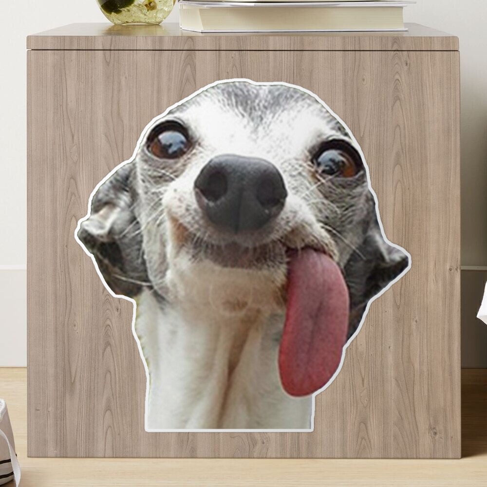 Dog Stickers: Doggie sticking its tongue out