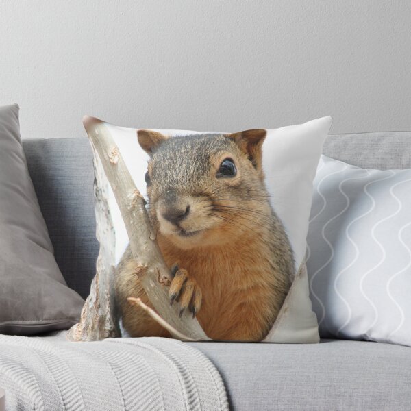 Item preview, Squirrel in a Cottonwood designed and sold by mokacat.