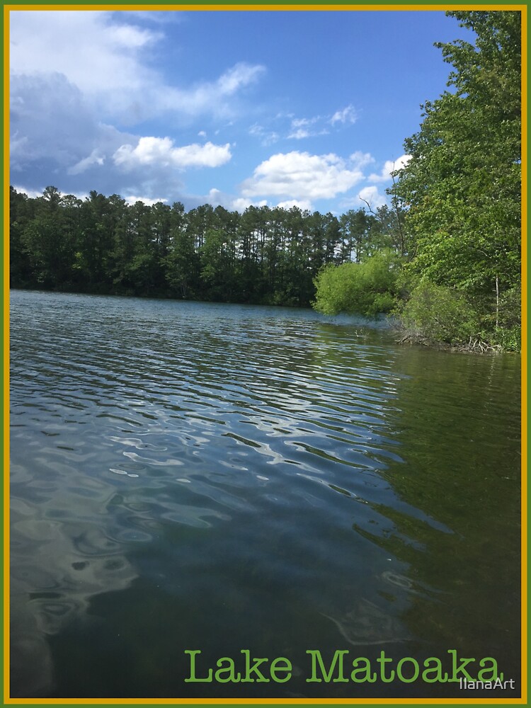 "Lake Matoaka the College of William and Mary " Sticker by IlanaArt Redbubble