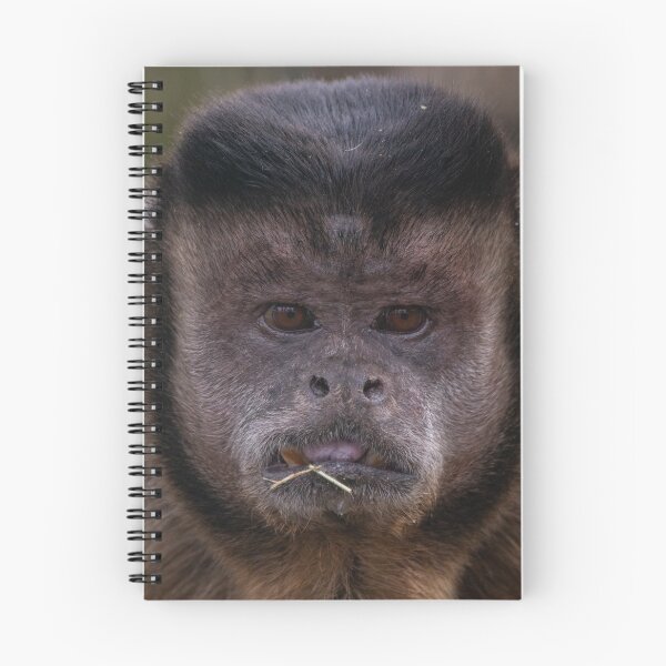 Item preview, Capuchin at The Wild Heart Trust (Isle of Wight Zoo) designed and sold by Wild-Wight.