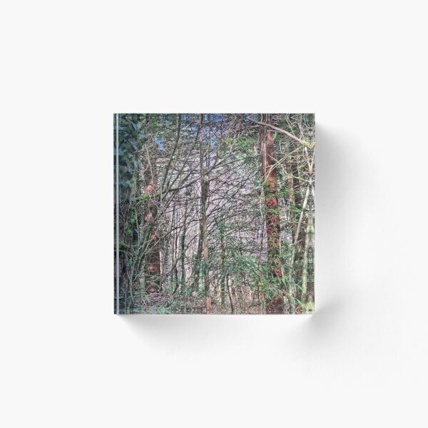 Item preview, North Woods, Dartington, Devon designed and sold by Bluelizzy.