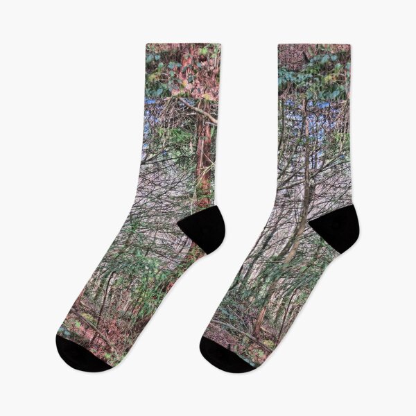 Item preview, North Woods, Dartington, Devon designed and sold by Bluelizzy.