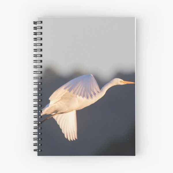 Item preview, Sunlit Egret designed and sold by byronbackyard.