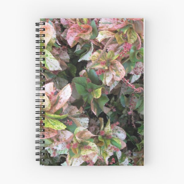 Item preview, Tropical Leaves at Mission Beach designed and sold by STHogan.