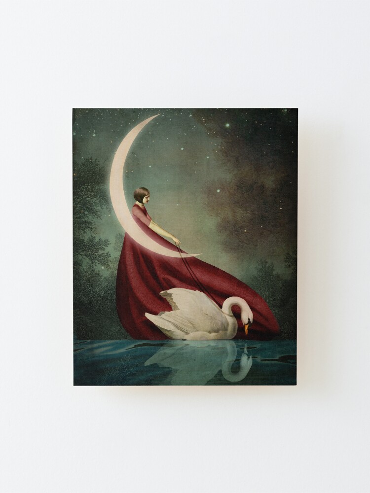 Alternate view of Moonlight Shadows Mounted Print