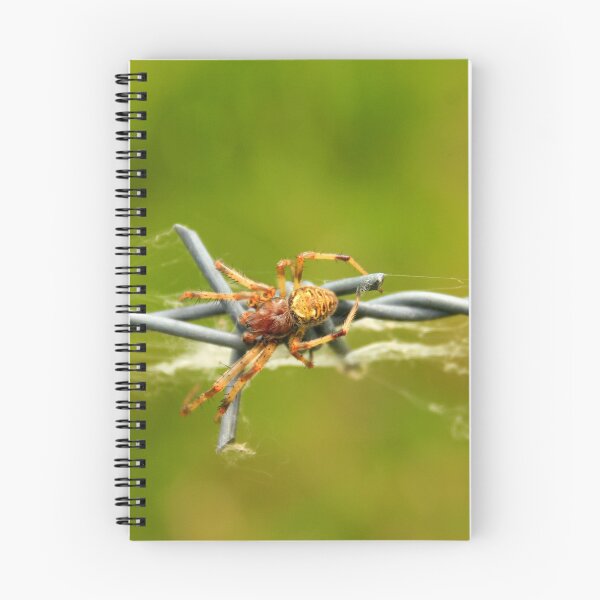 Item preview, Orb Weaver Spider on a Barb designed and sold by rhamm.
