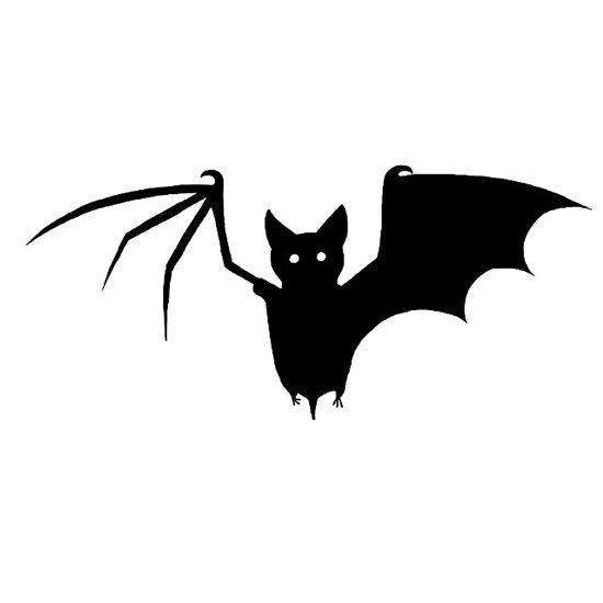 Bat with broken wing Posters by yaykaitlyn Redbubble