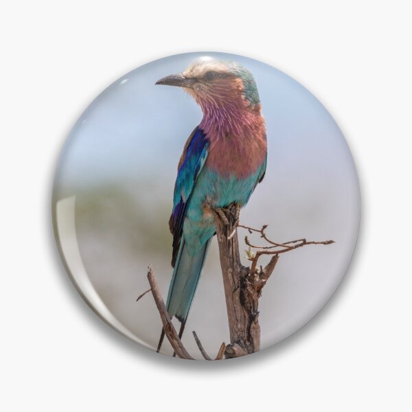 Item preview, Lilac-breasted Roller - Kruger National Park, South Africa designed and sold by holgermader.