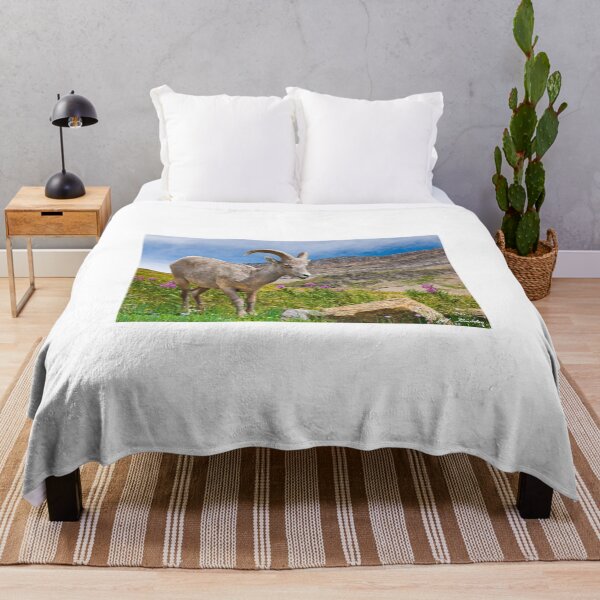 Item preview, Young Bighorn Ram in a Meadow designed and sold by Jeff Goulden Photography.