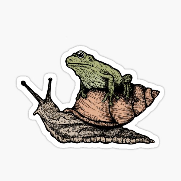 "Green Frog Sitting on Snail" Sticker by pustelnik-store | Redbubble