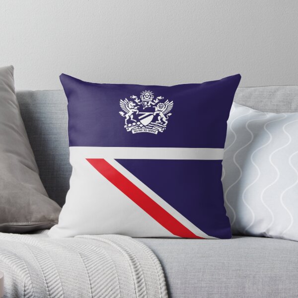 https://ih1.redbubble.net/image.2237374729.6503/throwpillow,small,600x-bg,f8f8f8-c,0,120,600,600.u1.jpg