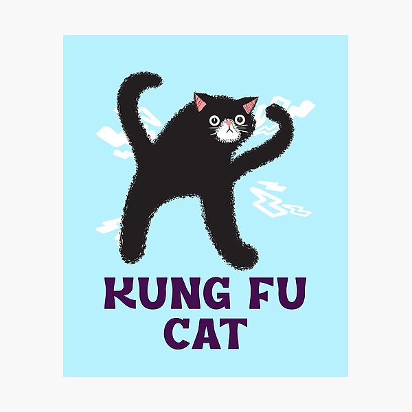 Kungfu cat 777