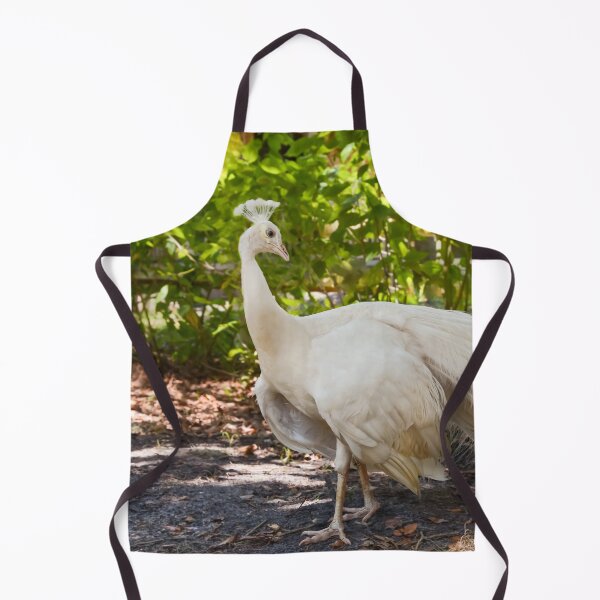 Item preview, White peacock posing designed and sold by Zina Stromberg.