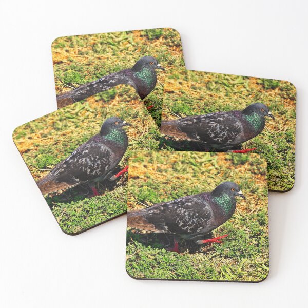 Item preview, Rock Pigeon designed and sold by Kay Brewer.