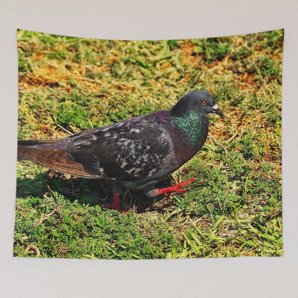 Item preview, Rock Pigeon designed and sold by Kay Brewer.