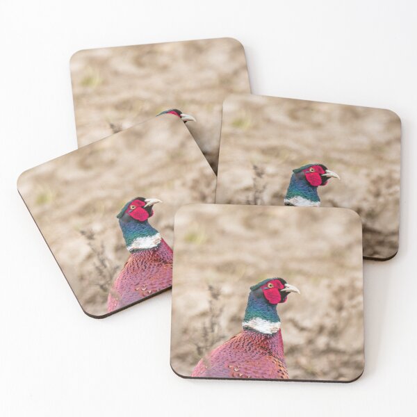 Item preview, Male pheasant designed and sold by yackers1.