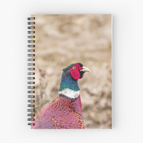 Item preview, Male pheasant designed and sold by yackers1.