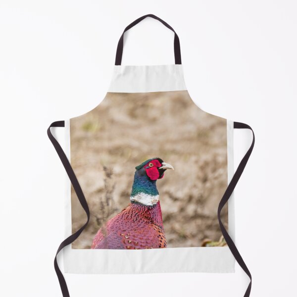 Item preview, Male pheasant designed and sold by yackers1.