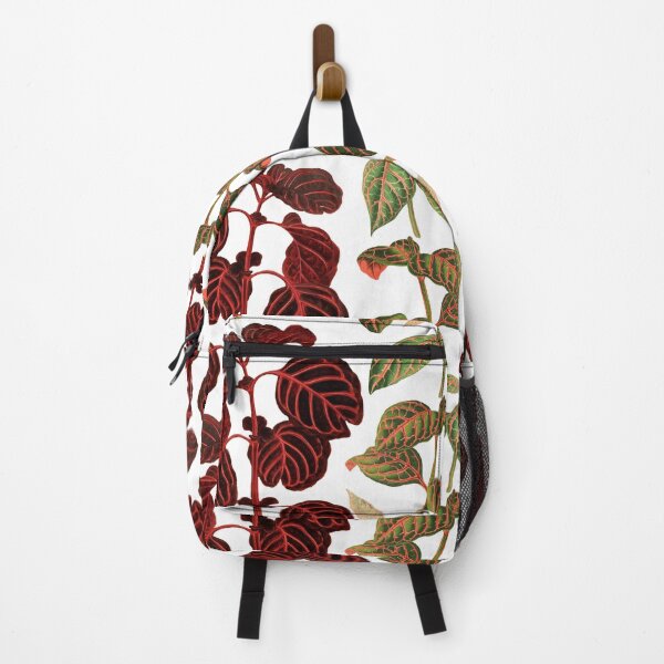 Item preview, Urban jungle iresine house plant pattern cottagecore aesthetic designed and sold by PG Illustration.