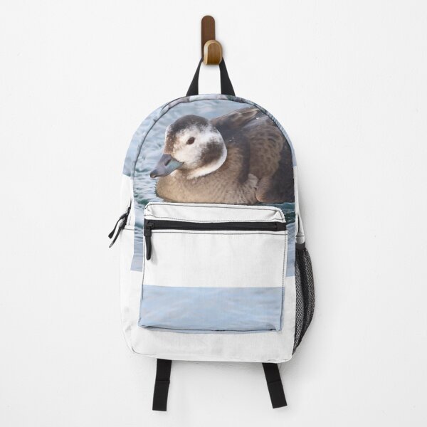 Item preview, Long tailed duck designed and sold by KimhengFineArt.