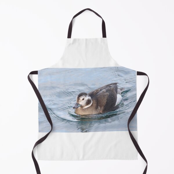 Item preview, Long tailed duck designed and sold by KimhengFineArt.