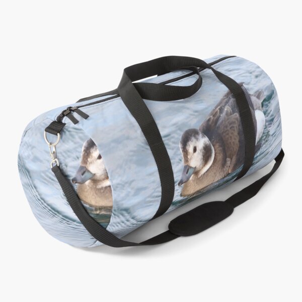 Item preview, Long tailed duck designed and sold by KimhengFineArt.