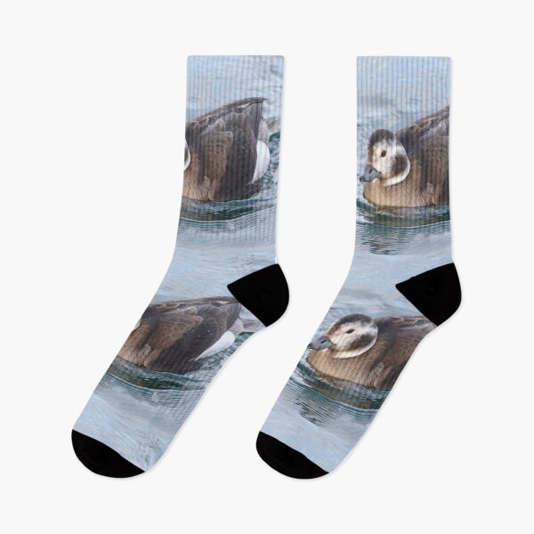 Item preview, Long tailed duck designed and sold by KimhengFineArt.