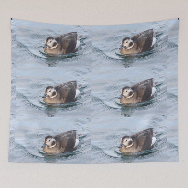 Item preview, Long tailed duck designed and sold by KimhengFineArt.