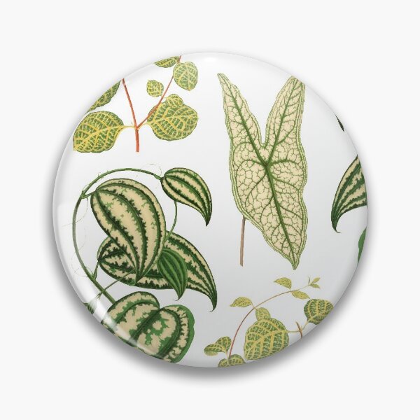 Item preview, Urban jungle house green iresine plants pattern cottagecore aesthetic designed and sold by PG Illustration.