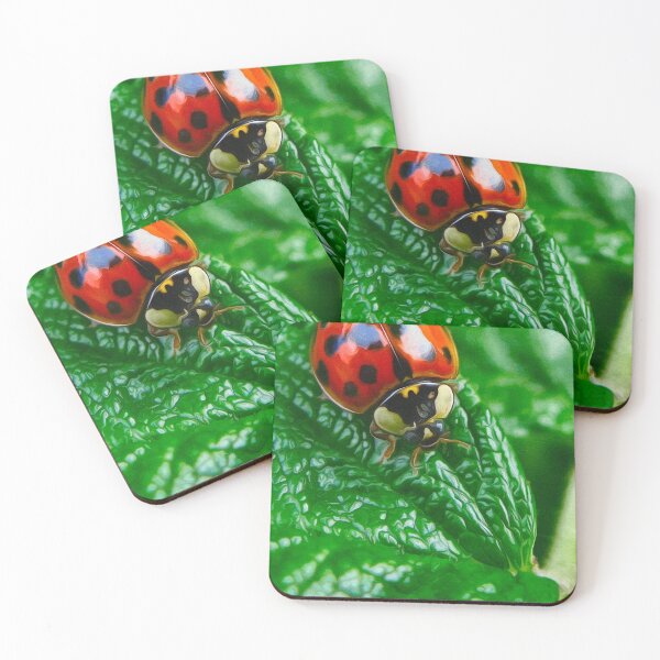 Item preview, Cutest ladybug ever designed and sold by Travelways.