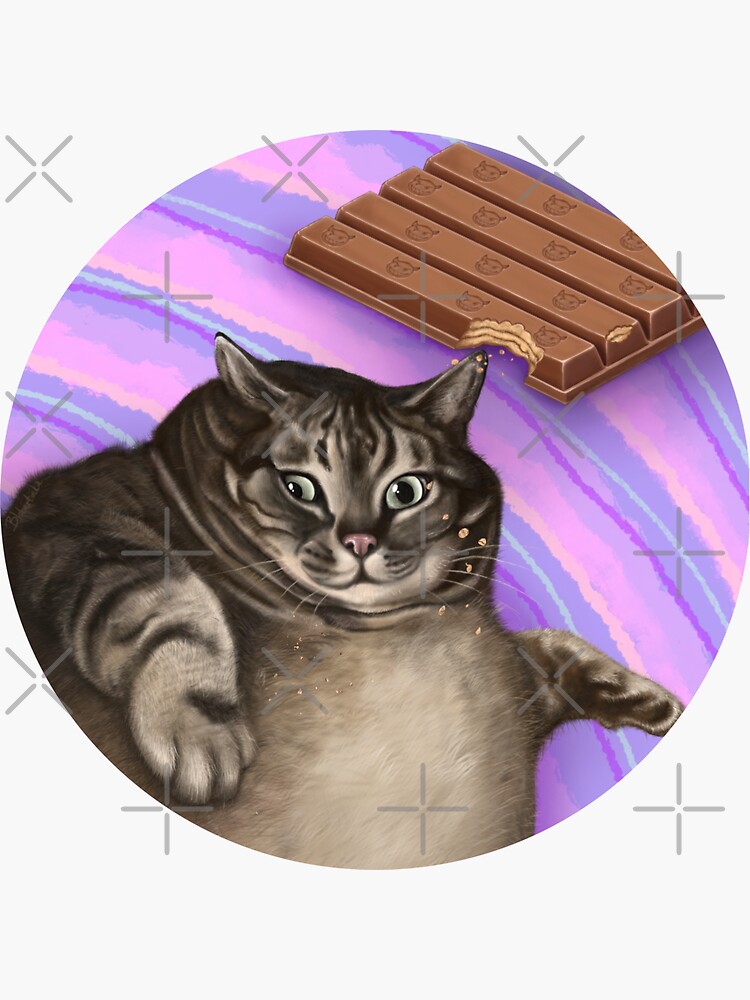  36 Funny Cat Stickers Pack, Hilarious Cat Meme Decals