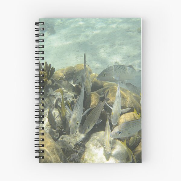 Item preview, Fish Frenzy designed and sold by Dagoth.