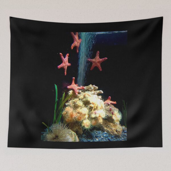 Item preview, Sea Stars in Sydney Aquarium  designed and sold by KazM.