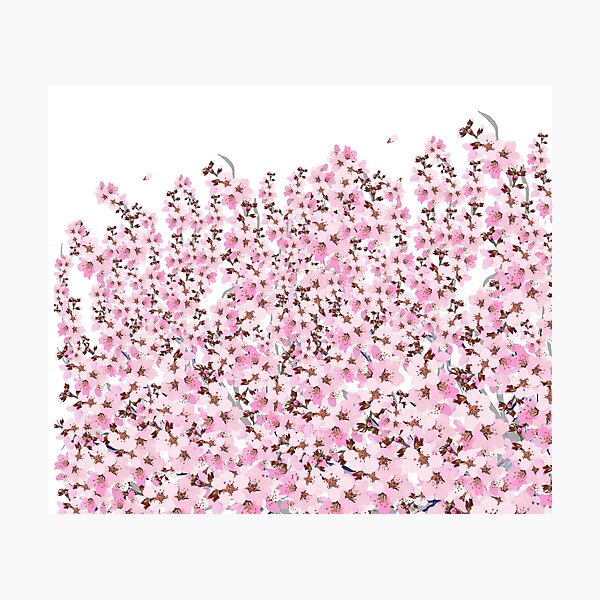 Item preview, Cherry Blossom designed and sold by SnakeRiverRose.